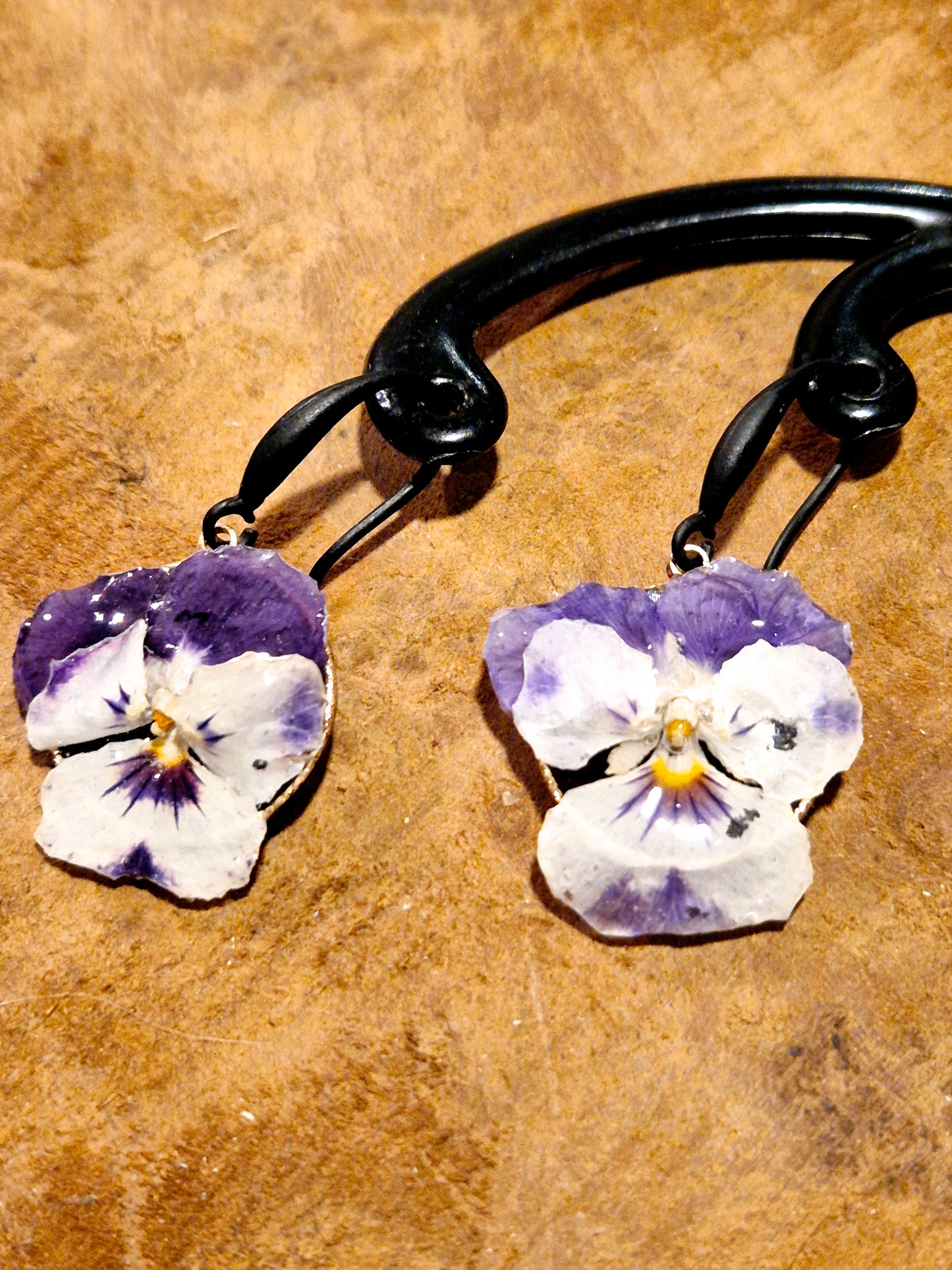 704. " Ma violette "